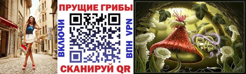 Галлюциногенные грибы прущие грибы  OMG как зайти  Переславль-Залесский 